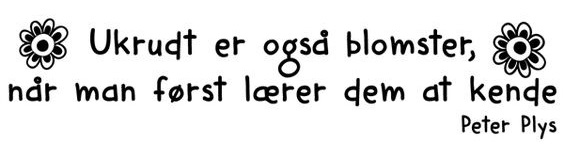 Du må gerne være ked af det - Helle Sommer